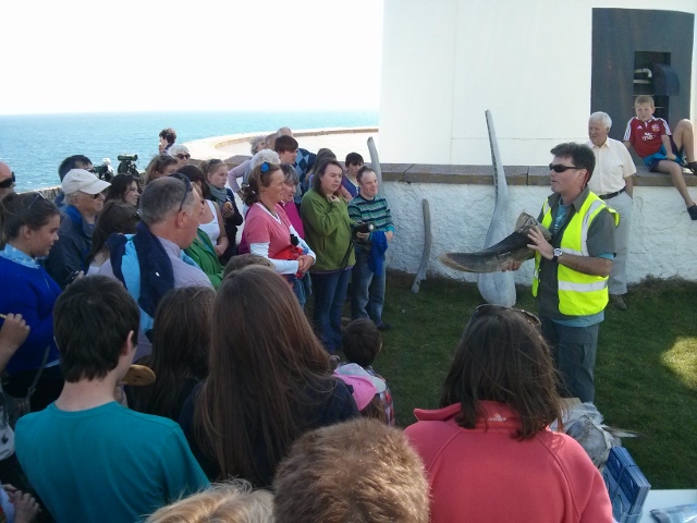 IWDG chatting to public at Galley Head © Calvin Jones